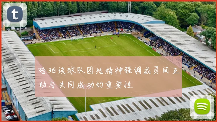 哈珀谈球队团结精神强调成员间互助与共同成功的重要性