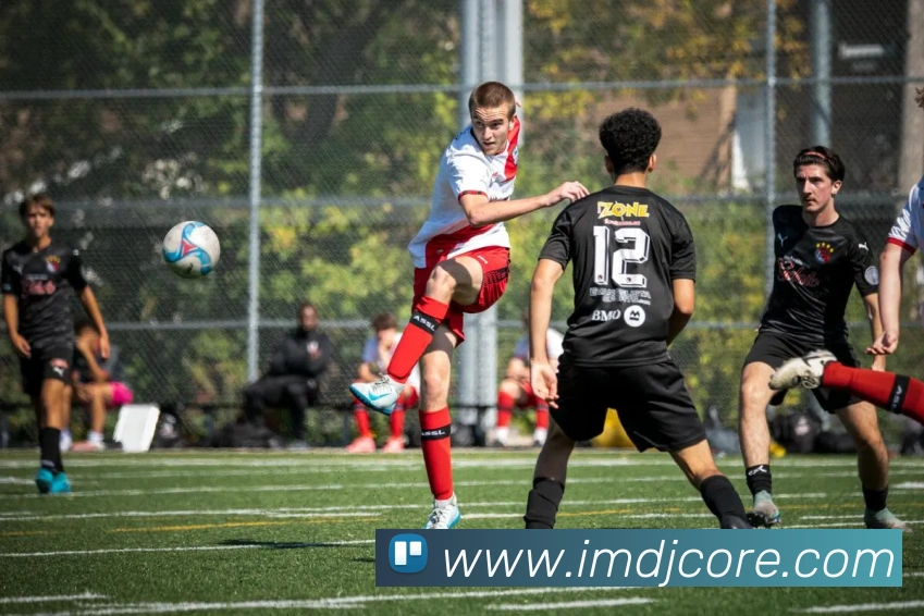 IM电竞发展历程